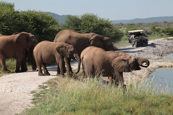 Tau Game Lodge มาเดิคเวเกมรีเซิร์ฟ ภายนอก รูปภาพ