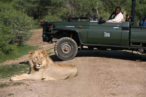 Tau Game Lodge มาเดิคเวเกมรีเซิร์ฟ ภายนอก รูปภาพ
