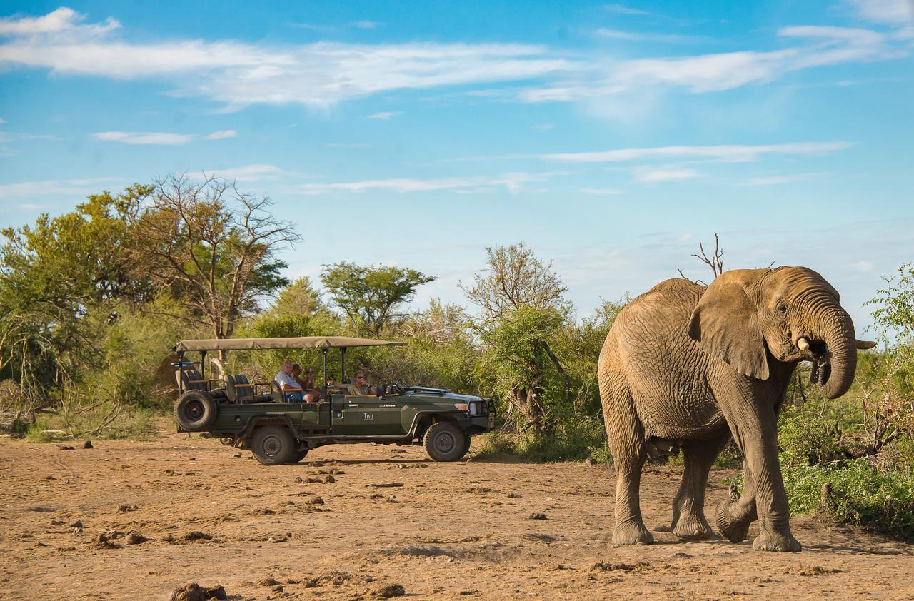 Tau Game Lodge มาเดิคเวเกมรีเซิร์ฟ ภายนอก รูปภาพ